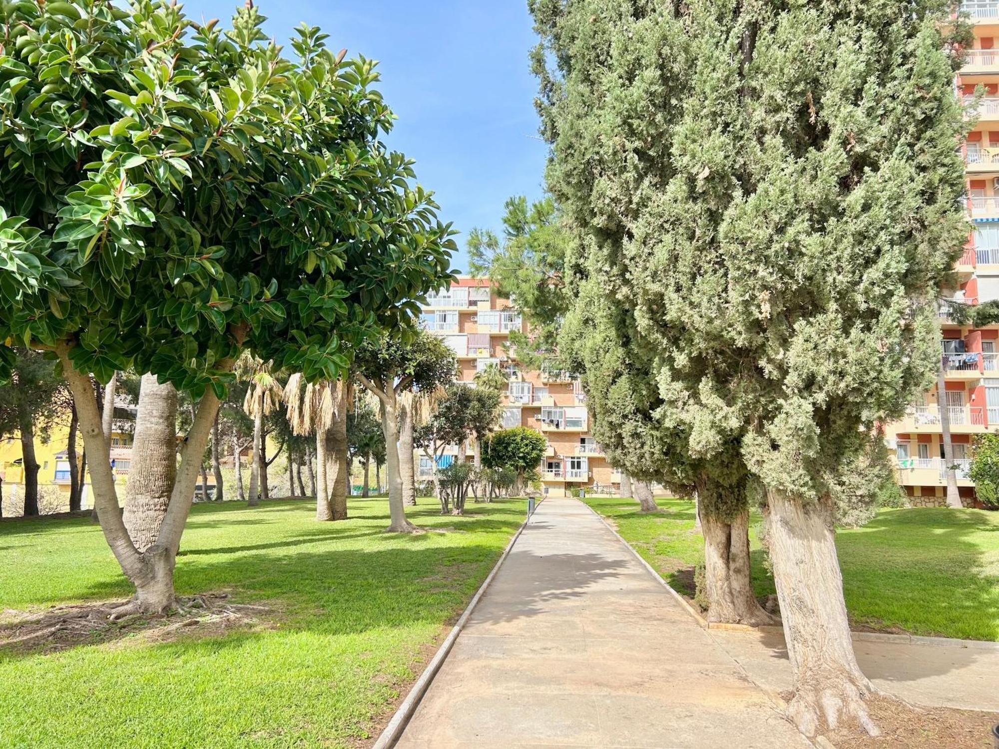 דירות בנאלמדנה Hoja De Palma מראה חיצוני תמונה